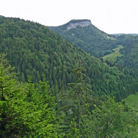 VVF Villages - Jura les Rousses - Prémanon - Camping Jura - Afbeelding N°3