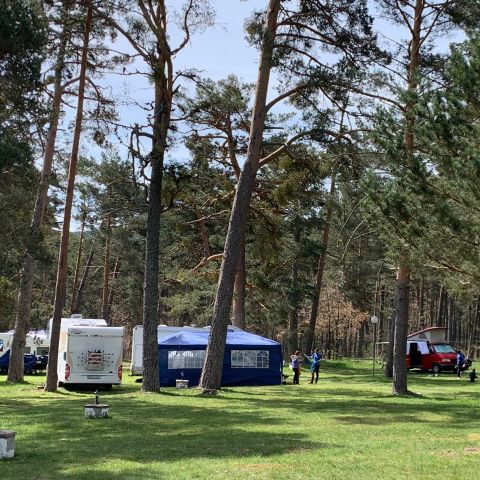 Refugio de Pescadores Covaleda - Camping Soria - Afbeelding N°6