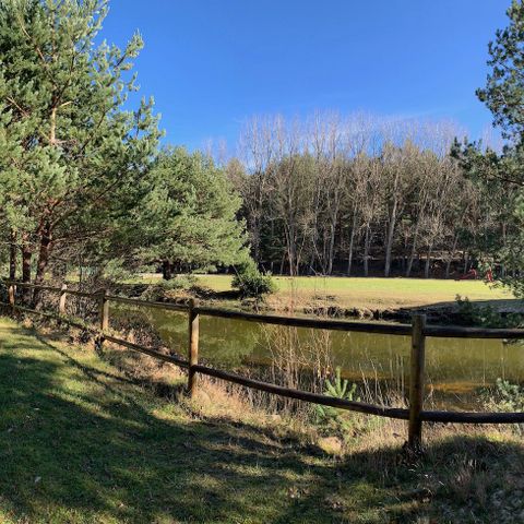 Refugio de Pescadores Covaleda - Camping Soria - Afbeelding N°3