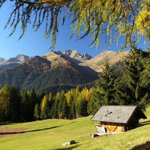 Camping Park Baita Dolomiti and Village - Camping Rome - Afbeelding N°6
