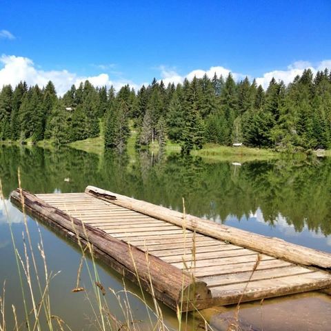 Camping Park Baita Dolomiti and Village - Camping Rome - Afbeelding N°5