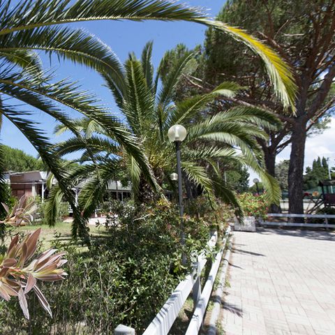 Camping Village Oasi - Camping Grosseto - Afbeelding N°2