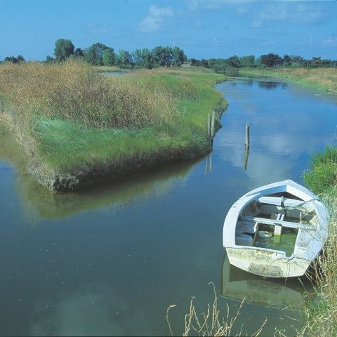 VVF Villages - Ars Ile de Ré - Ars en Ré - Camping Charente-Maritime - Afbeelding N°2
