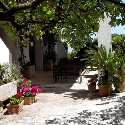 Camping Agriturismo Vignavecchia - Camping Lecce - Afbeelding N°4