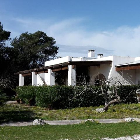 Camping Agriturismo Vignavecchia - Camping Lecce - Afbeelding N°2