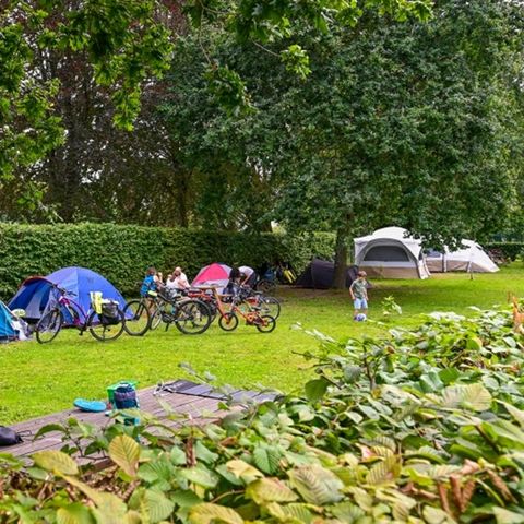 Domaine Les Rives de l'Oust - Camping Morbihan - Afbeelding N°5