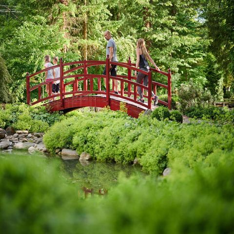 Forest Camping Mozirje - Slovenië - Afbeelding N°2