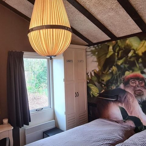 Bungalow 4 personen - De Bosduif