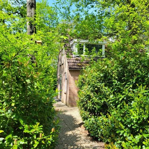 Bungalow 6 personen - Tortelduif