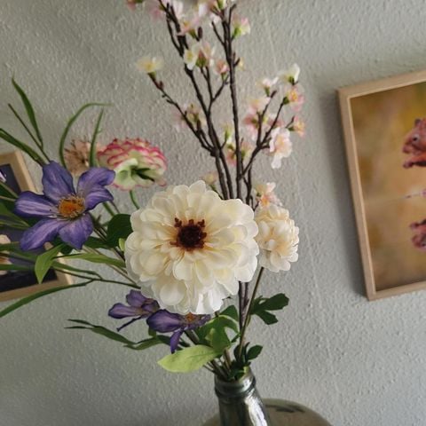 Bungalow 6 personen - Tortelduif 