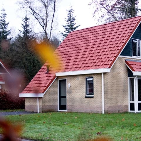 Bungalow 6 personen - Kwikstaart