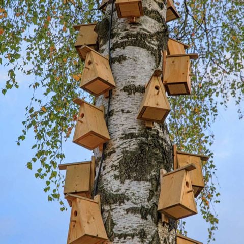 Chalet 2 personen - Boutique suite