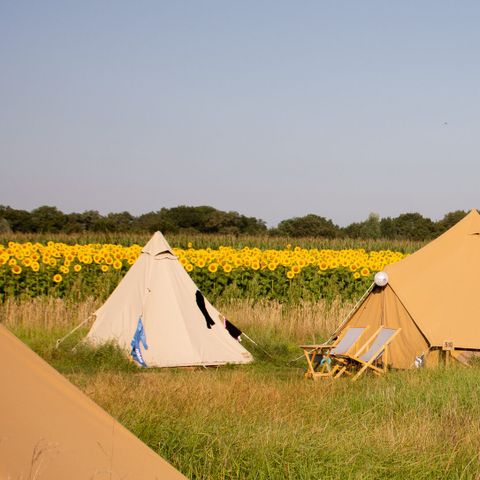 Tent 4 personen - Buurvrouws' Belltentje