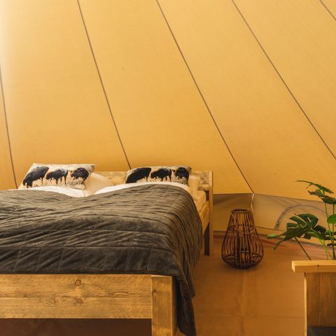 Tent 2 personen - Blij in de wei met privé sanitair