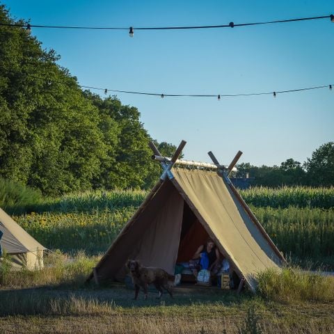 VAKANTIEHUIS 32 personen - 6x luxe glampingtent