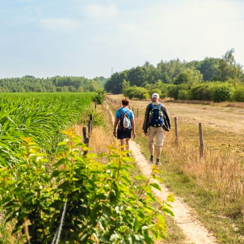 Vakantiepark Mölke - Camping Wierden - Afbeelding N°5