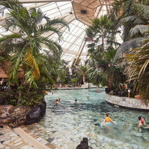 Center Parcs De Eemhof - Camping Zeewolde - Afbeelding N°5