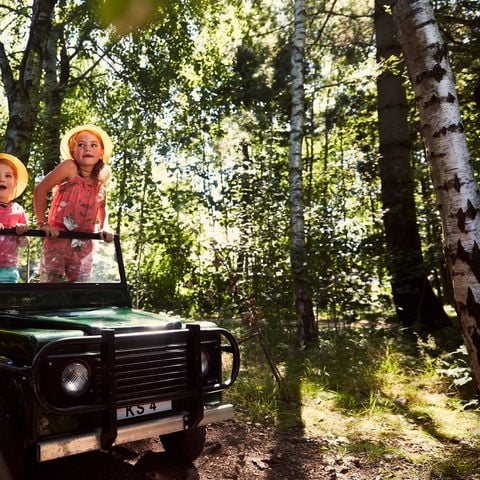 Center Parcs De Huttenheugte - Camping Coevorden - Afbeelding N°3