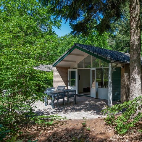 Roompot Bospark De Schaapskooi - Camping Epe - Afbeelding N°2