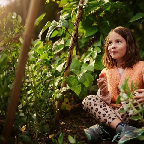 Center Parcs Het Meerdal - Horst aan de Maas - Afbeelding N°6