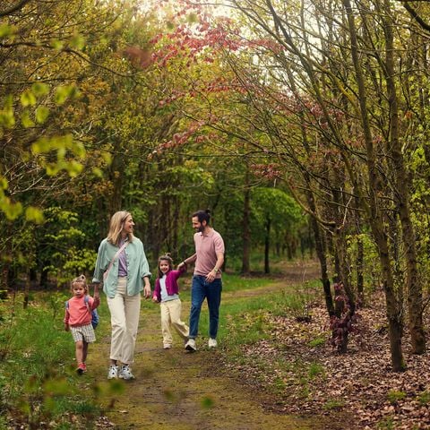 Center Parcs Het Meerdal - Horst aan de Maas - Afbeelding N°4