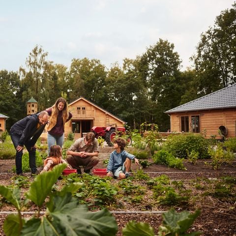 Center Parcs Het Meerdal - Horst aan de Maas - Afbeelding N°6