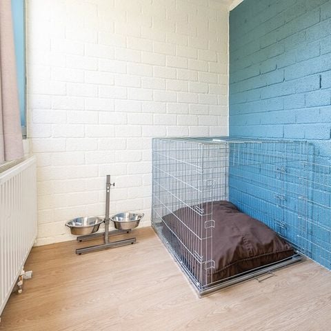 Bungalow 4 personen - Premium Honden MD2428