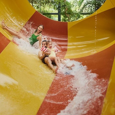 Center Parcs Het Meerdal - Horst aan de Maas - Afbeelding N°3