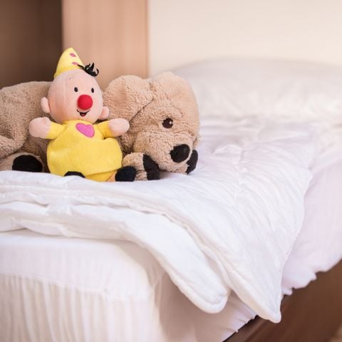 Bungalow 4 personen - Kinderbungalow Boerderij