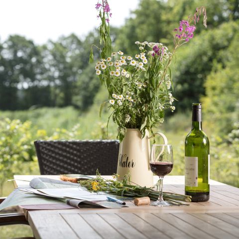 Groepsaccommodatie 10 personen - Twente Lodge