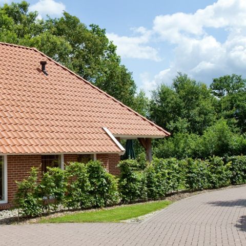 Recreatiepark Kaps - Camping Tubbergen - Afbeelding N°5