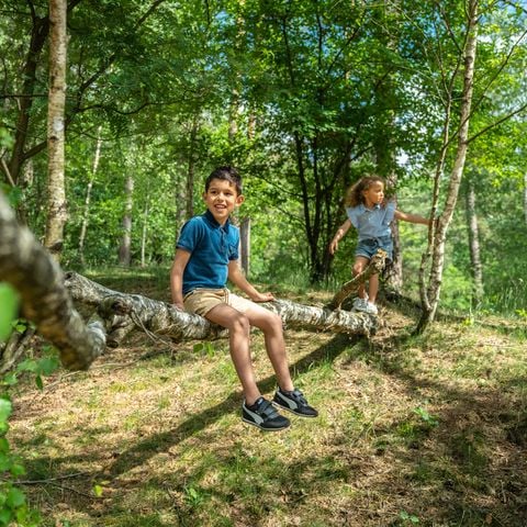 Landal Miggelenberg - Camping Apeldoorn - Afbeelding N°2