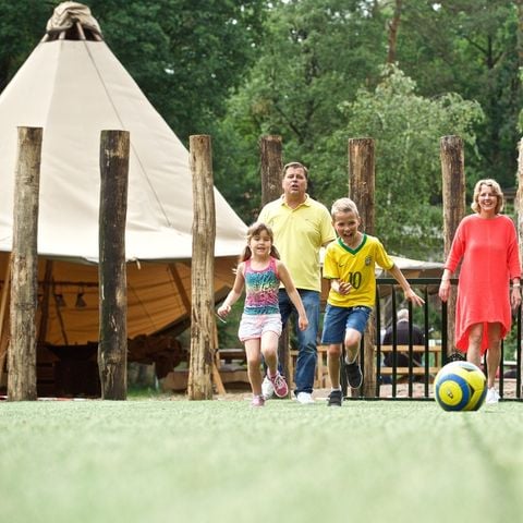 Landal Miggelenberg - Camping Apeldoorn - Afbeelding N°6