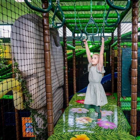 Landal De Lommerbergen - Camping Beesel - Afbeelding N°5