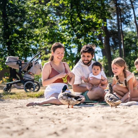 Landal Landgoed 't Loo - Camping Oldebroek - Afbeelding N°5