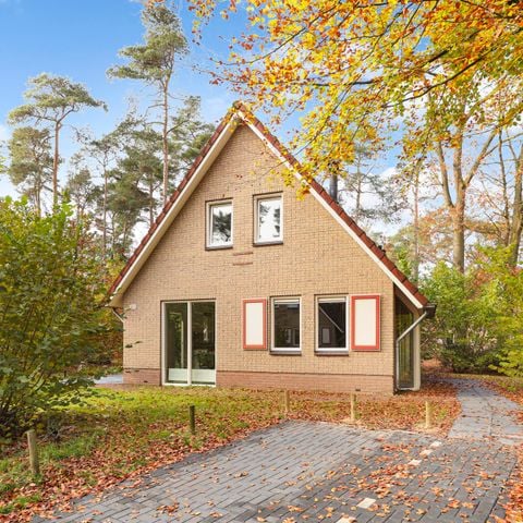 Bungalow 4 personen - 4C