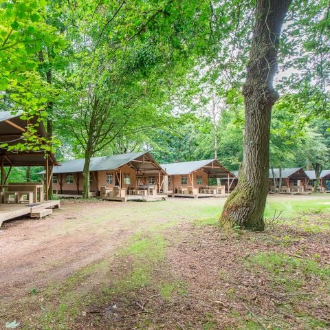 Safaritent 6 personen - 6ST