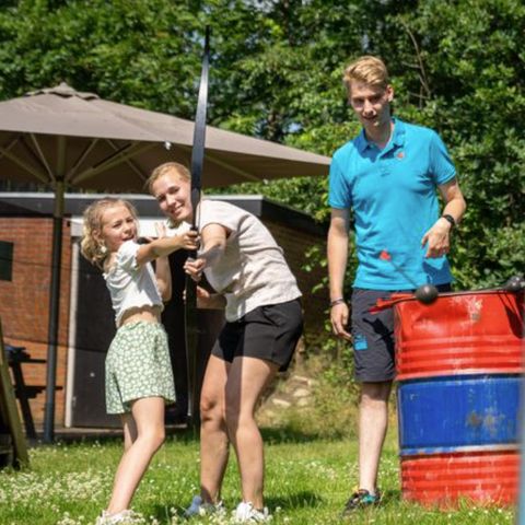 Landal Twenhaarsveld - Camping Rijssen-Holten - Afbeelding N°4