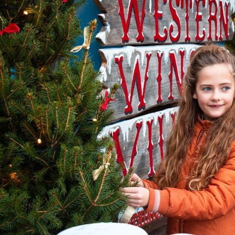 Attractie- & Vakantiepark Slagharen - Hardenberg - Afbeelding N°6