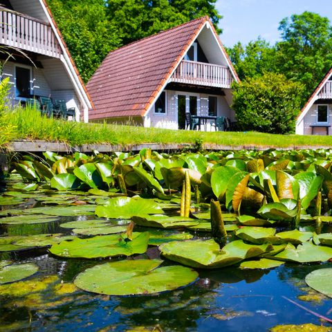 t Hooge Holt - Camping Hardenberg - Afbeelding N°3
