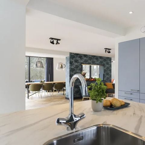 VAKANTIEHUIS 12 personen - Villa Vechtrijk