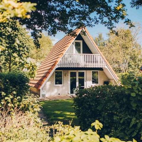 Bungalow 6 personen - Vechtdal Bungalow Comfort + | 6 personen Bungalow 6 personen - Vechtdal Bungalow Comfort + | 6 personen