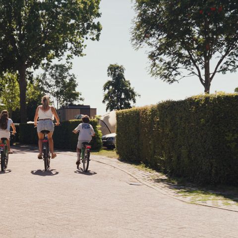 Villapark De Paardekreek - Noord-Beveland - Afbeelding N°3