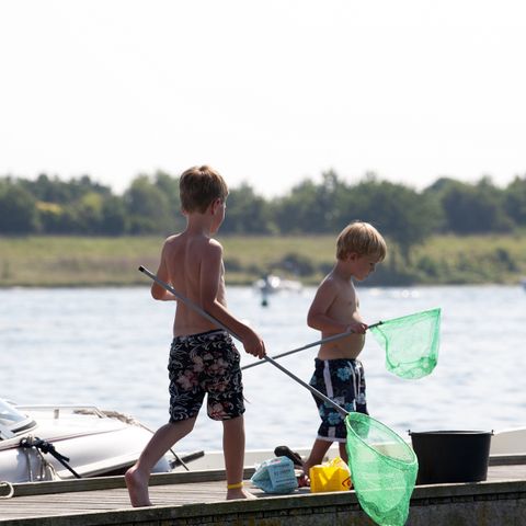 Villapark De Paardekreek - Camping Noord-Beveland - Afbeelding N°5