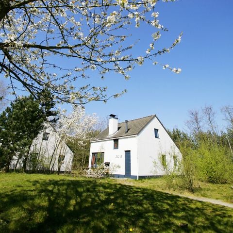 Bungalow 6 personen - Exclusive KM533