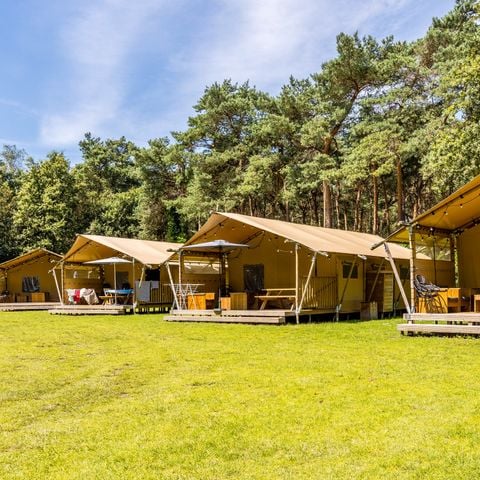 Safaritent 6 personen