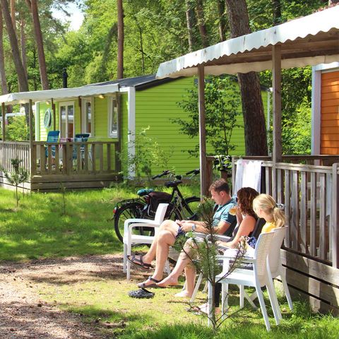 Chalet 6 personen - Lupine