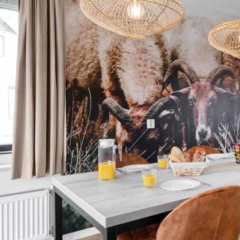 VAKANTIEHUIS 4 personen - Hunze