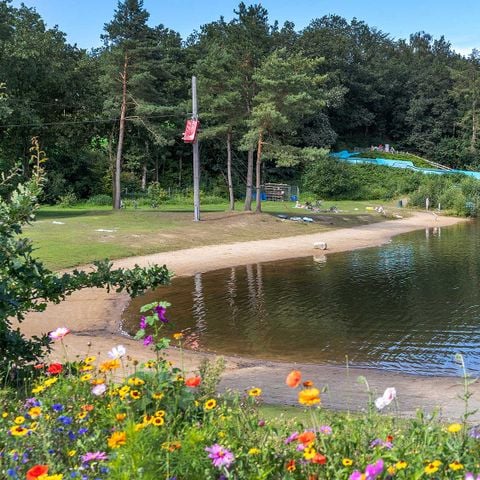 Molecaten Park Kuierpad - Camping Coevorden - Afbeelding N°4