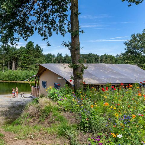 Molecaten Park Kuierpad - Camping Coevorden - Afbeelding N°2